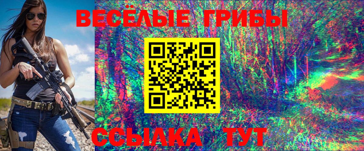 Галлюциногенные грибы Psilocybine cubensis Гусь-Хрустальный