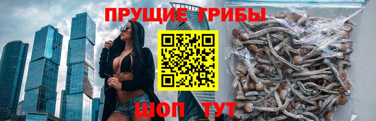 Псилоцибиновые грибы мухоморы  где найти наркотики  Гусь-Хрустальный 