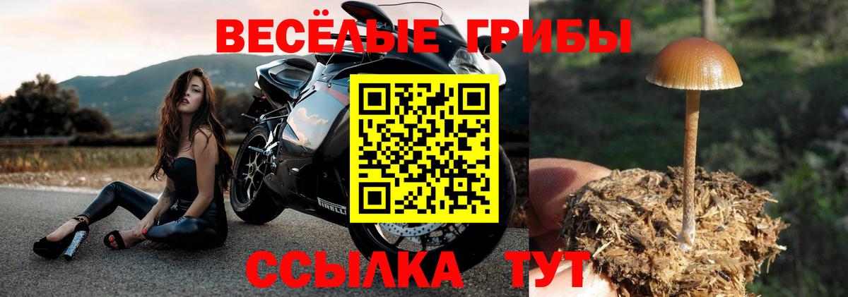 Псилоцибиновые грибы ЛСД  Вход с VPN  где купить наркотик  Гусь-Хрустальный 