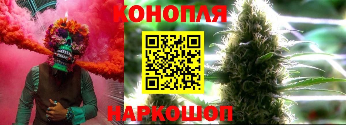 Конопля White Widow  Гусь-Хрустальный  Канабис марихуана  МАРИХУАНА семена  Конопля семена 